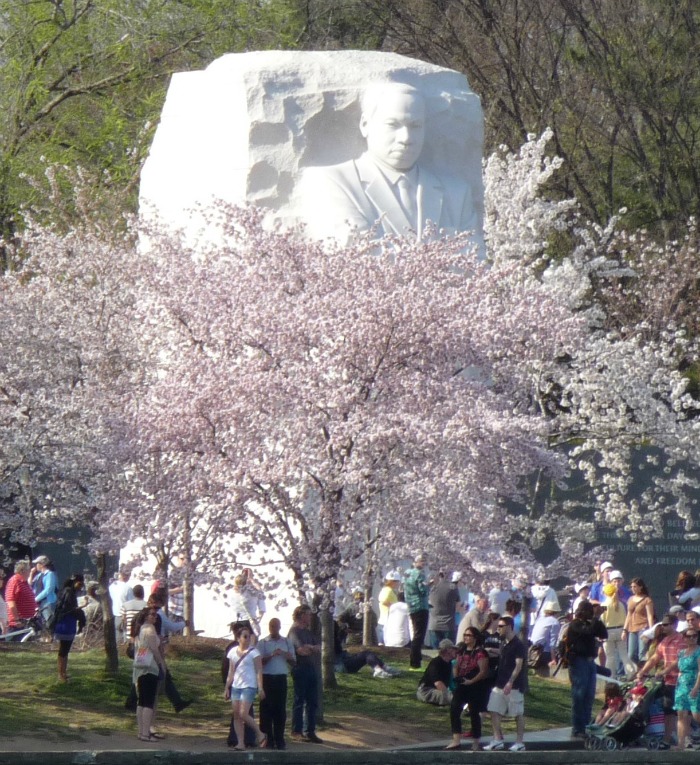 Black Washington DC - Martin Luther King Jr Memorial
