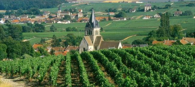 Harlem Hellfighters Champagne excursion. Vineyards in Champagne