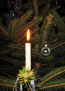 candle on tree